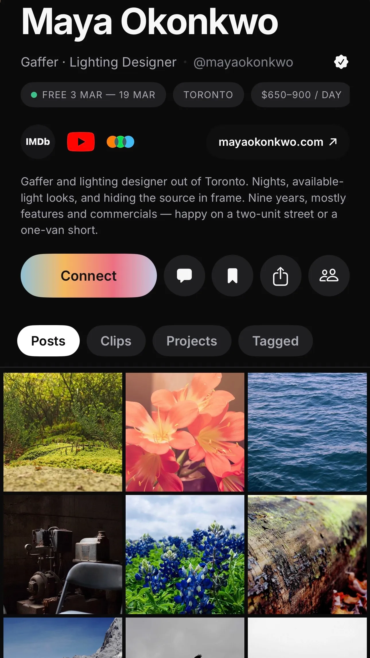 A gaffer profile with availability dates, day rate, links, and a work grid. Demo content.